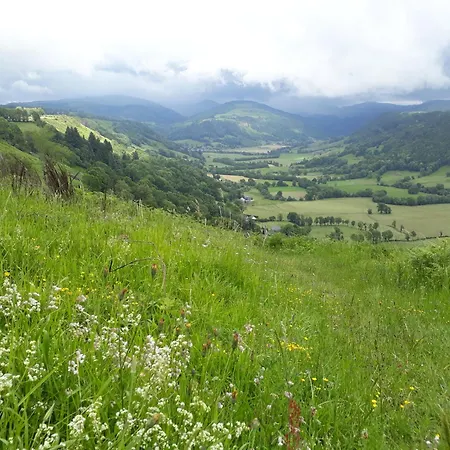 Grand Familial 5 A Ally, Dans Le Cantal A Cote De Salers