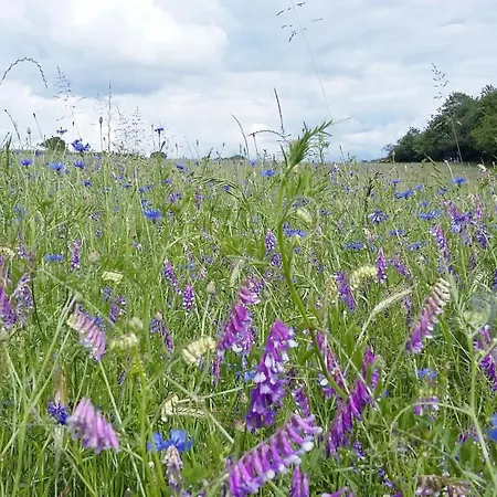Grand Familial 5 A Ally, Dans Le Cantal A Cote De Salers 度假居