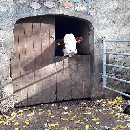 度假居 Grand Familial 5 A Ally, Dans Le Cantal A Cote De Salers *