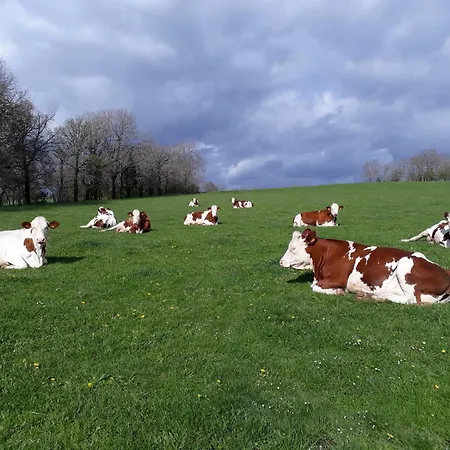 Grand Familial 5 A Ally, Dans Le Cantal A Cote De Salers Ally (Cantal)